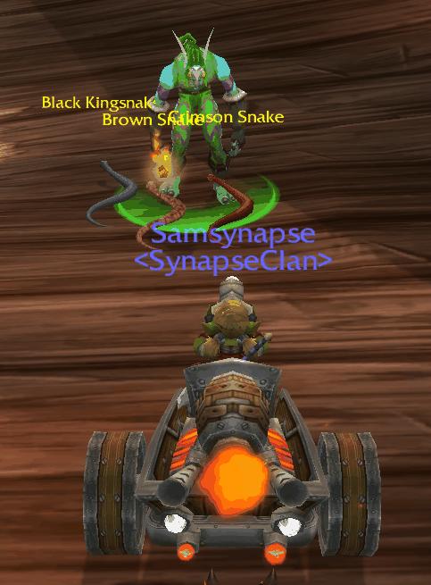 sam2.jpg